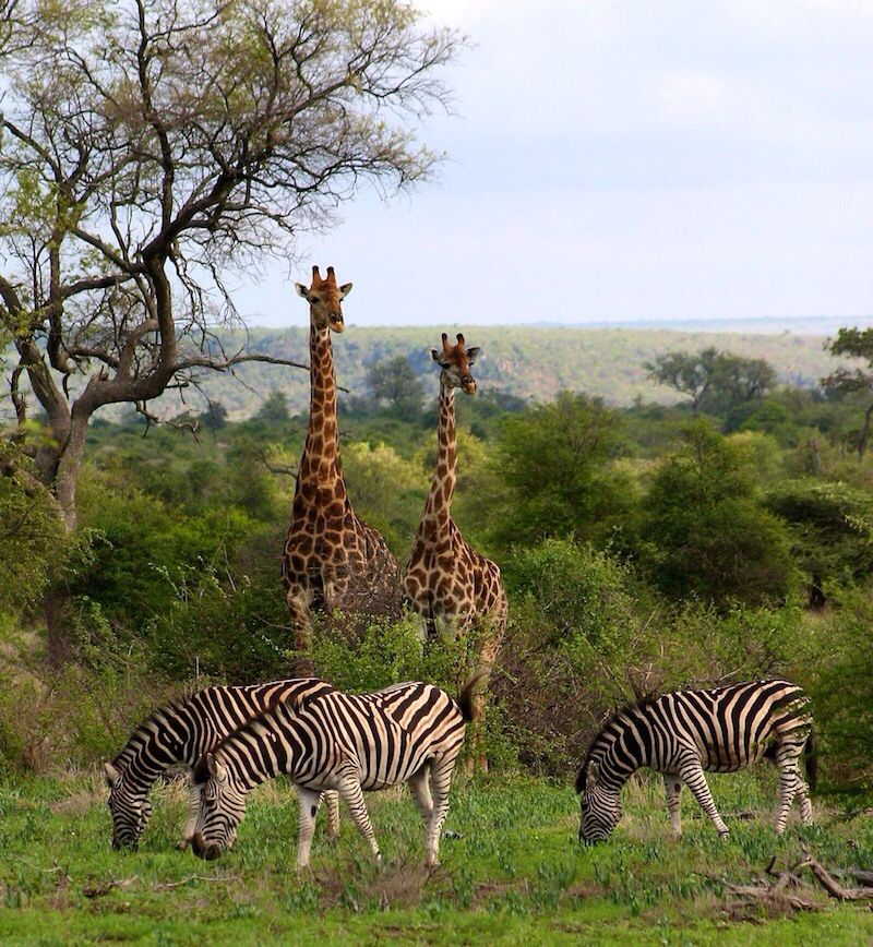 7-Day Remote East Safari: Maximum Solitude Week