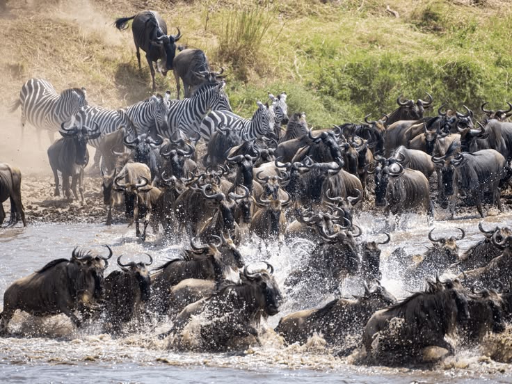 12 Days Honeymoon Tanzania and Zanzibar