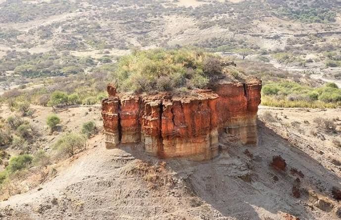 3 Days Tanzania Sharing Safari