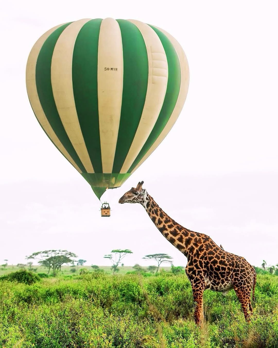 3-Day Serengeti Balloon Safari