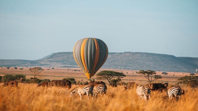 Serengeti hot air balloon safari at sunrise over the plains