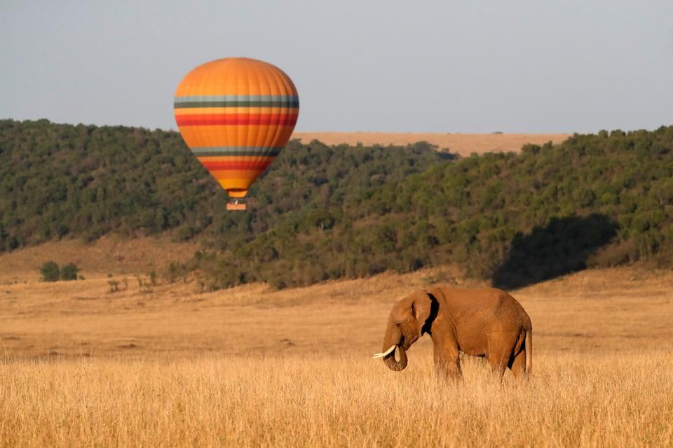 Serengeti hot air balloon safari at sunrise