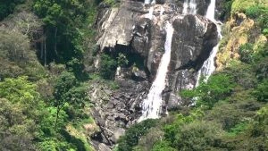 2 Days Udzungwa Mountains Safari| Kizza Adventure