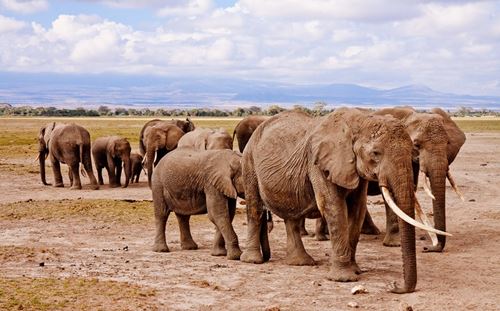 3-day tanzania safari | 3 day tanzania safari | 3 days tanzania safari | 2023 | 2024 | 2025 | Kizza Adventures