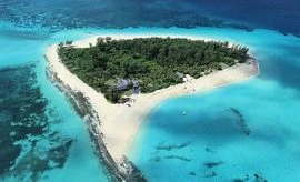 4 days Tanzania Mafia Island tour| Kizza Adventure