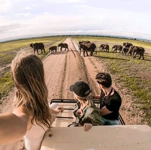 4-Day Tanzania Camping Safari | 4 Days Tanzania Camping Safari | 4 Day Tanzania Camping Safari | Tanzania Camping Safari | Tanzania Camping  | camping safari | 2023 | 2024 | 2025 | Kizza Adventures