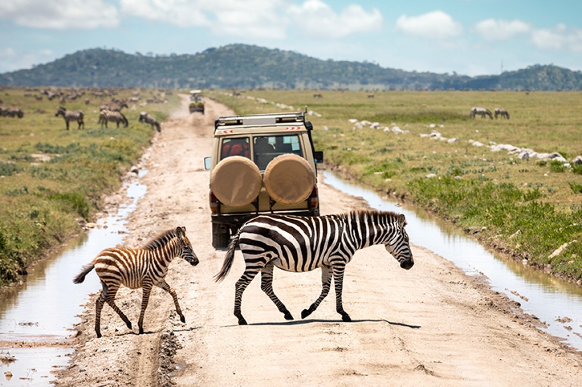 group joining safari | Tanzania group joining safari |group joining Tanzania safari | 4-Day Tanzania group joining | 4 Day Tanzania group joining Safari | 4 Days Tanzania group joining Safari | 4 days tanzania group joining safari cost | 4 days tanzania group joining safari price | 2024 | 2025 | 2026 | Kizza Adventure