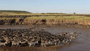 The best 6 Days Great Serengeti Migration Safari