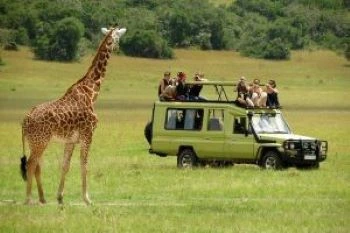 The best tour operator in Tanzania | Kizza Adventures
