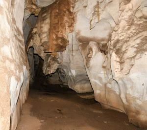 3 days Tanga tour with Amboni Caves| Kizza Adventure