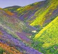2 days | Kitulo National Park | tours | packages | itinerary | Activities | tickets | 2024 | 2025 Kizza Adventures 