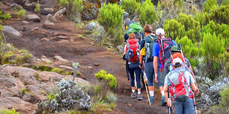 climb Kilimanjaro 2024 | Kilimanjaro 2024 | the best Kilimanjaro packages | kilimanjaro hiking packages | mount kilimanjaro 2024 packages | climbing kilimanjaro packages  | trekking kilimanjaro packages | climbing kilimanjaro packages | 2024 | 2025 | 2026 | Kizza Adventures