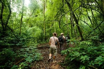 7 days gombe and mahale safari tour