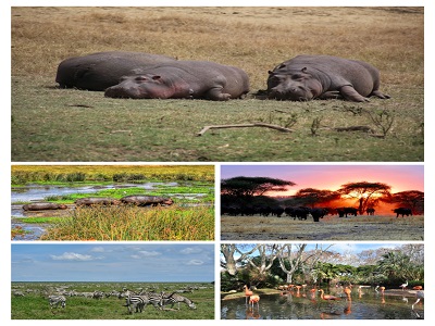 4 Day Tanzania safari | four day Tanzania safari | tanzania safari in 4 days | 4 days tanzania safari | 4-day Tanzania safari | 2023 | 2024 | 2025 | Kizza Adventures