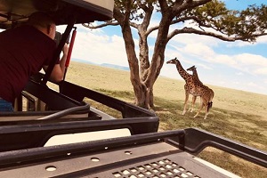 6-Day Manyara Serengeti Ngorongoro Safari — Lake Manyara, Two Serengeti Days & the Crater