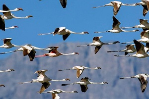 3-day safari from Zanzibar | 3 day safari from Zanzibar | safari from Zanzibar | 2024 | 2025 | Kizza Adventures