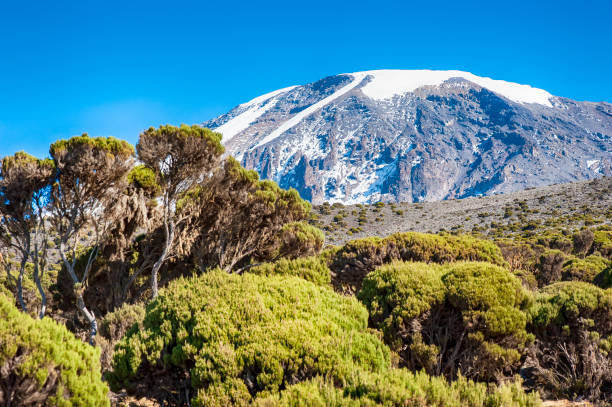 2 Days Kilimanjaro Overnight Rainforest Trek Private