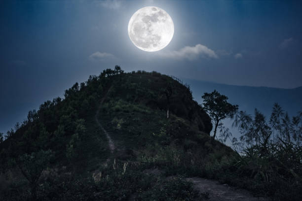 Full Moon Kilimanjaro Climb