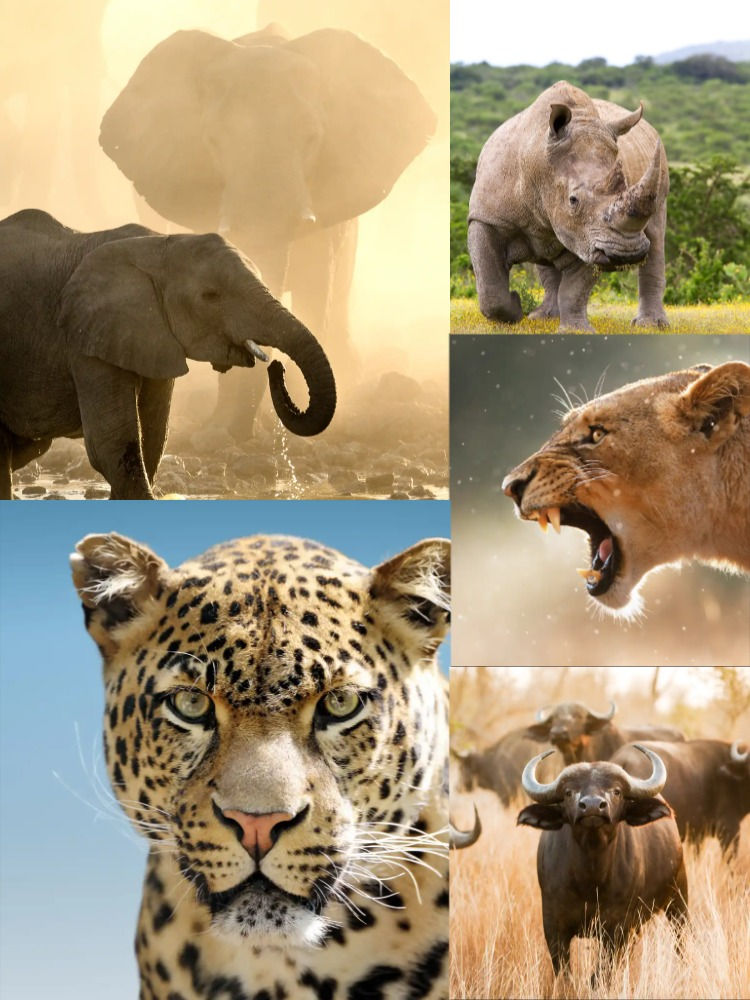Big Five