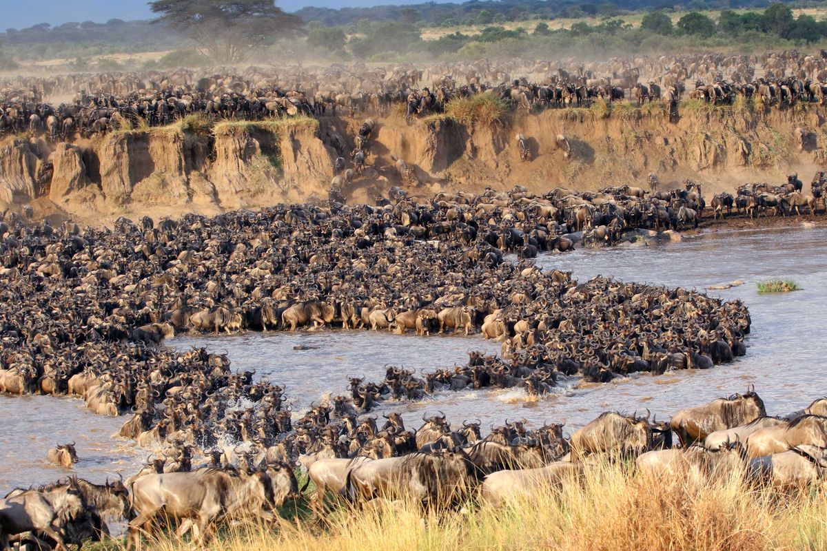 Great Migration