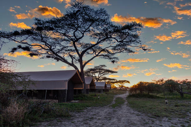 4-Day Budget Camping Safari