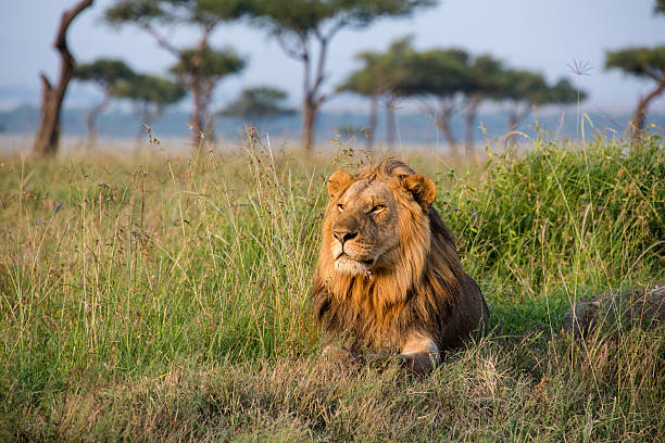 6-Day Group Joining Safari