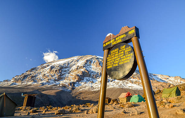 8 Days Extended Kilimanjaro Climb Lemosho Northern Circuit Rongai