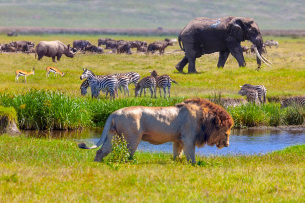 8-Day Group Joining Safari