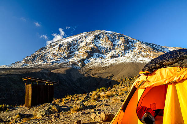 7 Days Premium Kilimanjaro Climb Lemosho Machame Northern Circuit