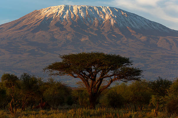 Mount Kilimanjaro Tanzania