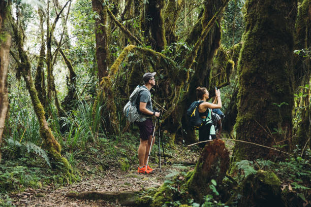Machame Route 7-Day Kilimanjaro Climb