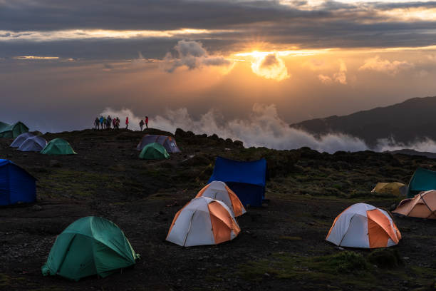 Lemosho Route 7-Day Kilimanjaro Climb