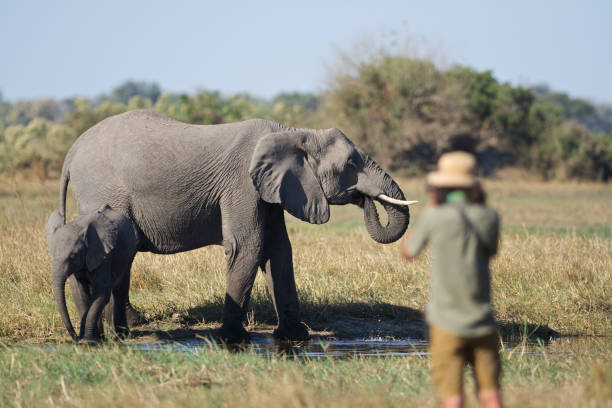 13-Day Fly-In Luxury Safari