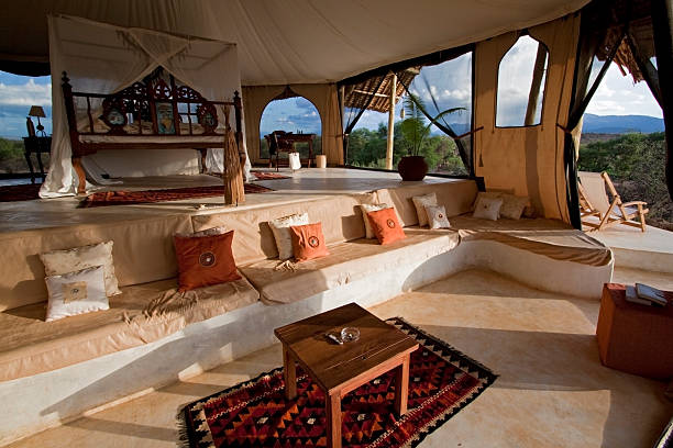 Luxury Safari