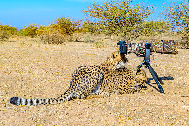 Photography Safari