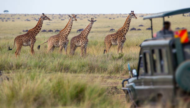 Arrival in Moshi with Kilimanjaro view