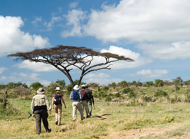 Guided Safaris