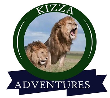 The Shira route Kilimanjaro Climbing package|Kizza Adventures