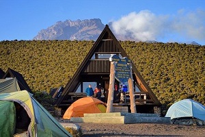 Kilimanjaro day hike | Kilimanjaro day hike from Moshi | Mount kilimanjaro day hike | Mount Kilimanjaro day hike from Moshi | Mount Kilimanjaro day hike tour | Kilimanjaro day hike itinerary | Kizza Adventures