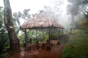 Materuni Waterfalls and coffe farm day trip tour | Kizza Adventures.