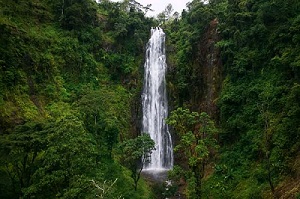 Materuni Waterfalls | Materuni waterfalls & Coffee tour from Moshi | Materuni waterfalls day trip | materuni waterfalls tour | Materuni waterfalls and coffee farm tour | tour | Materuni | falls | Materuni waterfalls Moshi | Materuni waterfalls location | Kizza Adventures.