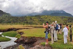 Arusha walking safari | Arusha National park walking safari | walking safari | Arusha city walking safari | Arusha national park half day walk | walking tour in Arusha National Park | Arusha National Park walking day tours | Arusha National Park guided walk | 2026 | 2027 |2028 |  Kizza Adventures