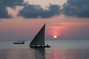 Zanzibar honeymoon | Zanzibar honeymoon packages | Zanzibar honeymoon package | Zanzibar honeymoon destination | zanzibar honeymoon packages | zanzibar honeymoon itinerary | Kizza Adventures 