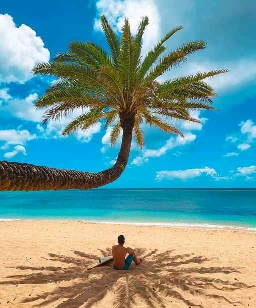 2 day Zanzibar | 2 days Zanzibar | 2 day Zanzibar holiday tour | 2 day Zanzibar beach holiday tour | Zanzibar 2 days price  | Zanzibar 2 days packages | zanzibar 2 days itinerary | zanzibar 2 days cost | zanzibar 2 days tours | is 2 days enough in zanzibar? | 2 days Zanzibar beach holiday tour  | 2 day Zanzibar zanzibar vacation | 2 days Zanzibar vacation | 2 | 2024 | 2025 | 2026 | Kizza Adventure | 2 days zanzibar by kizza adventure reviews | 2 days zanzibar by kizza adventure price | 2 days zanzibar by kizza adventure packages