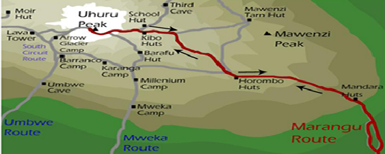 Cycle Kilimanjaro | cycling Kilimanjaro | Cycling Kilimanjaro via Marangu Route | Cycling tour operator | Cycling expedition | Mountain biking Kilimanjaro Marangu Route |
                        Kilimanjaro cycling tour operator | Kilimanjaro cycling tour operator | Mountain biking adventure | 2023 | 2024 | 2025 | Kizza Adventures
