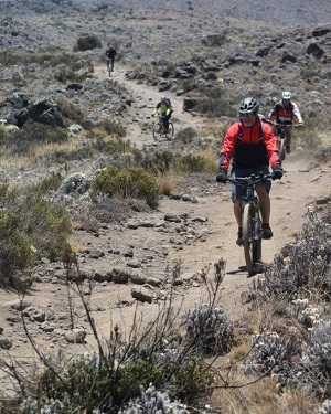 Bike tours to Kilimanjaro with affordable prices.