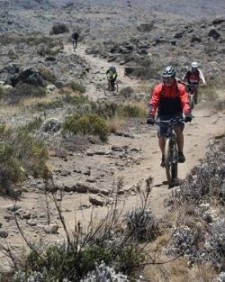 7 Days Kilimanjaro Bike cycling via Lemosho Route 2026-2027