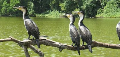 lake Duluti day trip tour by kizza adventures