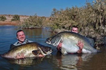 7 days Lake Victoria-Ngorongoro-Serengeti and Lake Manyara National Park Safari| 2025 | 2026 | 2027 | Kizza Adventures