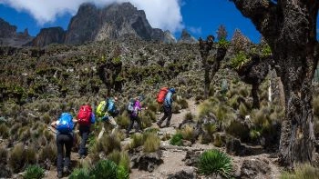 The best 7 days Mount Kenya Climbing 2025,2026, 2027 and 2028